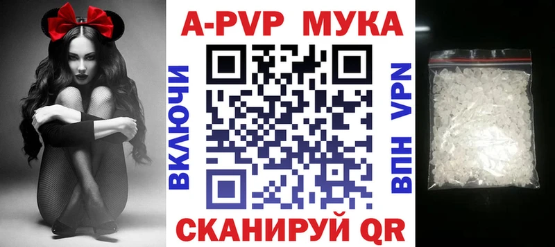 дарнет шоп  Лодейное Поле  Alpha PVP крисы CK 