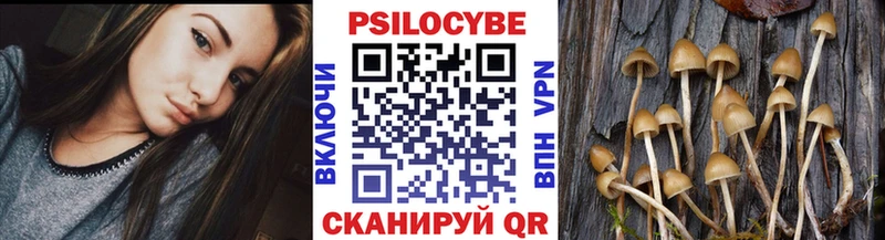 Галлюциногенные грибы GOLDEN TEACHER  купить закладку  Лодейное Поле 